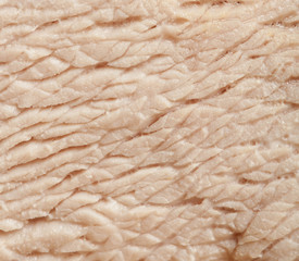 boiled meat slices super macro shot, perfect for backgrounds