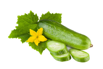 sliced fresh cucumber isolated on white