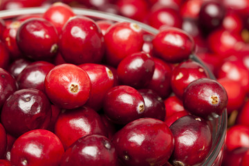 Red Ripe Cranberry