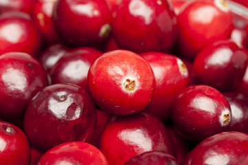 Red Ripe Cranberry