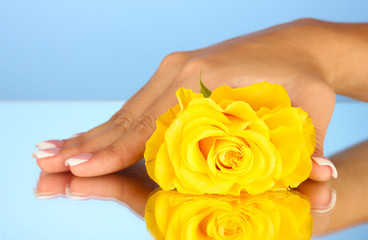 Yellow rose with woman's hand on blue background, close-up