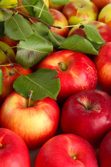 juicy red apples with green leaves, close up