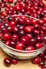 Red Ripe Cranberry