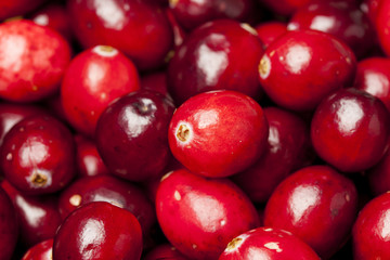 Red Ripe Cranberry