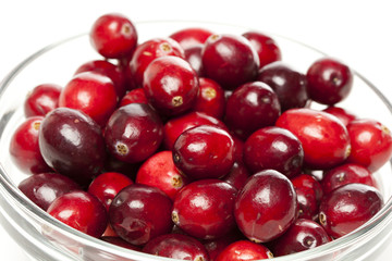 Red Ripe Cranberry