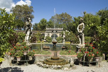Garden in Lucca - obrazy, fototapety, plakaty