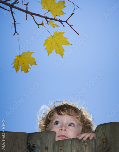 Kind an einem alten Zaun schaut zu gelben Herbst-Blättern