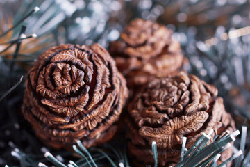 Christmas arrangement with sequoia cones