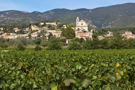 Vignobles de B&eacute;doin