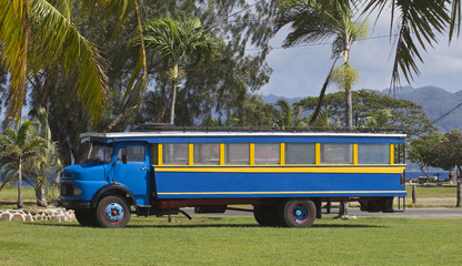 colorful school bus