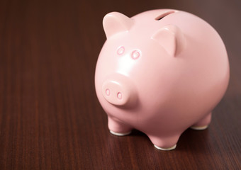 Pink Piggy Bank