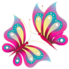 butterfly,butterflies vector