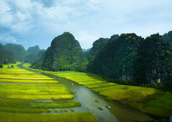 Rice field and river, Ninh Binh, viet nam