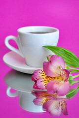 Obraz na płótnie Canvas coffee flower pink