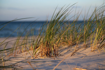 Fototapeta na wymiar na plaży Morza Bałtyckiego
