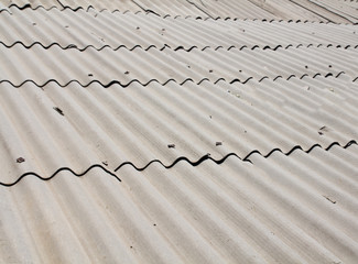 slate roof in the background