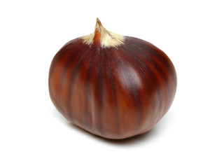 Chestnut