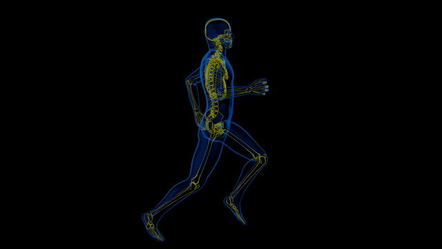athletic man running with a view of the skeleton