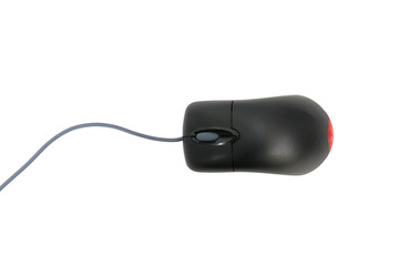 computer mouse isolated on white background