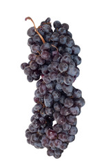 Black grapes cluster