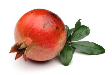Pomegranate with leafs