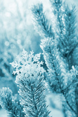 Winter background with decorative snowflake on the tree