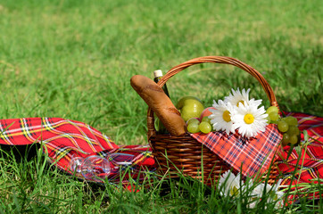 Picnic basket