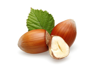 Hazelnuts Group