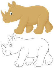 Rhino