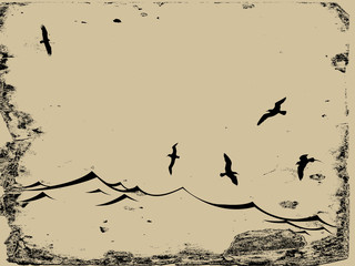 Fototapeta premium sea gulls silhouette on grunge background
