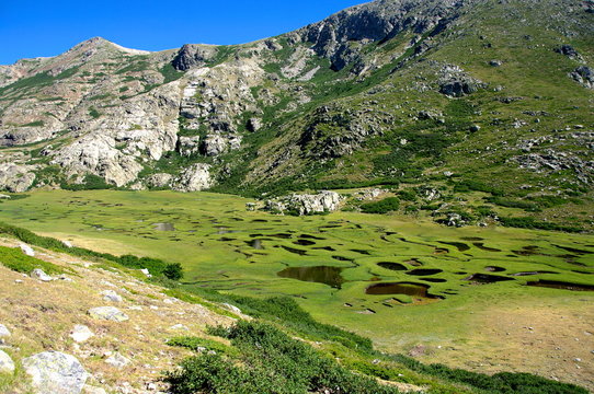 Pozzines corses