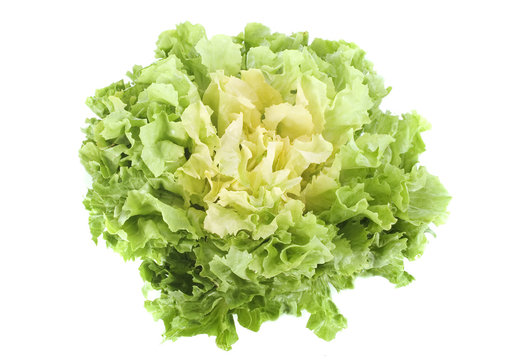 salade scarole