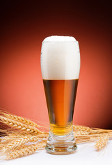 Beer and barley