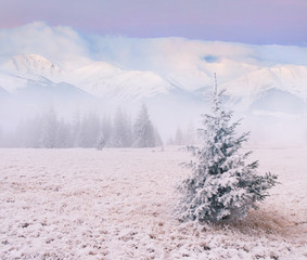 Foggy winter landscape in the mountains