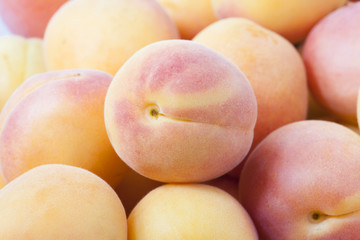 heap of apricots