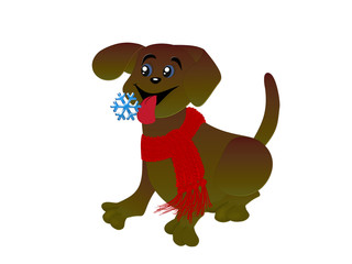 Собака в шарфике