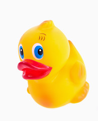 Rubber Ducky Toy