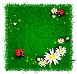 Foto op Canvas Ontwerpsjabloon met bloemen en lieveheersbeestjes © Black Spring