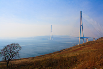 Fototapeta premium Bridge to Russky island. Vladivostok city. Russia.