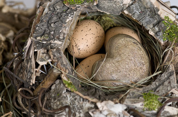 Nest mit Herz