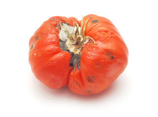 rotten tomato