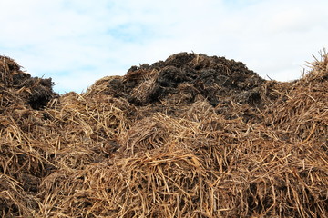 Terre fertile