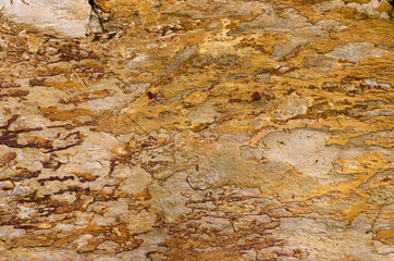 Orange Quartzite Rock