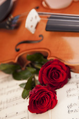 Beautiful roses and violin!