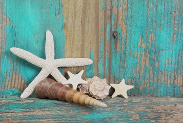 Muscheln und Seestern als Hintergrund