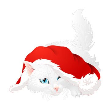 Curious fluffy white angora cat with blue eyes laying sideways, lifted tail,  under red santa hat and playing with pompon as isolated vector for christmas greeting postcards 