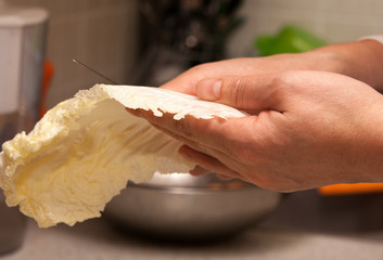 Cut a cabbage leaf in the kitchen
