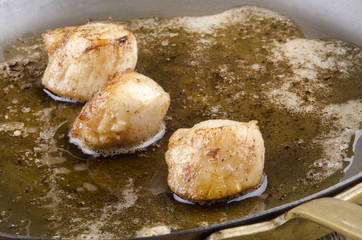 zubereitete Jacobsmuscheln in Butter gebraten