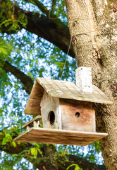 Wooden birdhouse