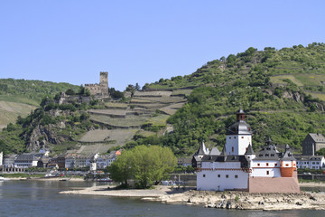 Fototapeta na wymiar Burg Pfalzgrafenstein bei Kaub